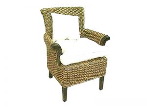 Brustin Rattan Arm Chair