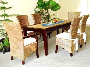 New Tropical DIning Set