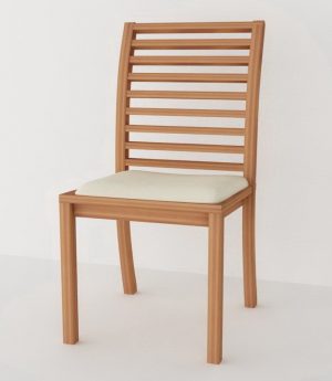 Dili Dining Chair furniture