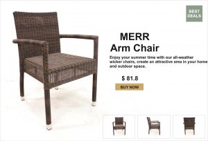 MERR Arm Chair furniture