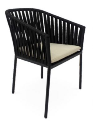 Shanum Chair furniture