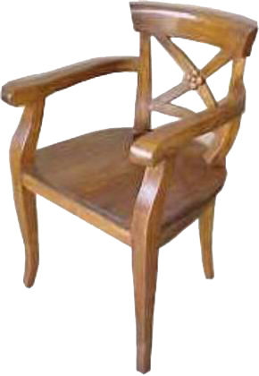 ROSE ARM CHAIR furniture