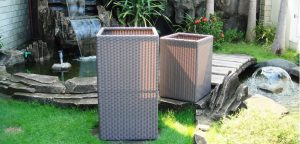 colvila set shimer viola