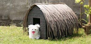 Gugy Pet House