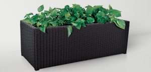 Rectanguler Planter